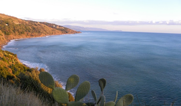 Coastal landscape