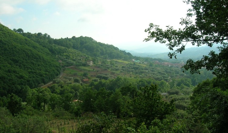 Parco Nazionale, foto nei pressi di Cannalonga